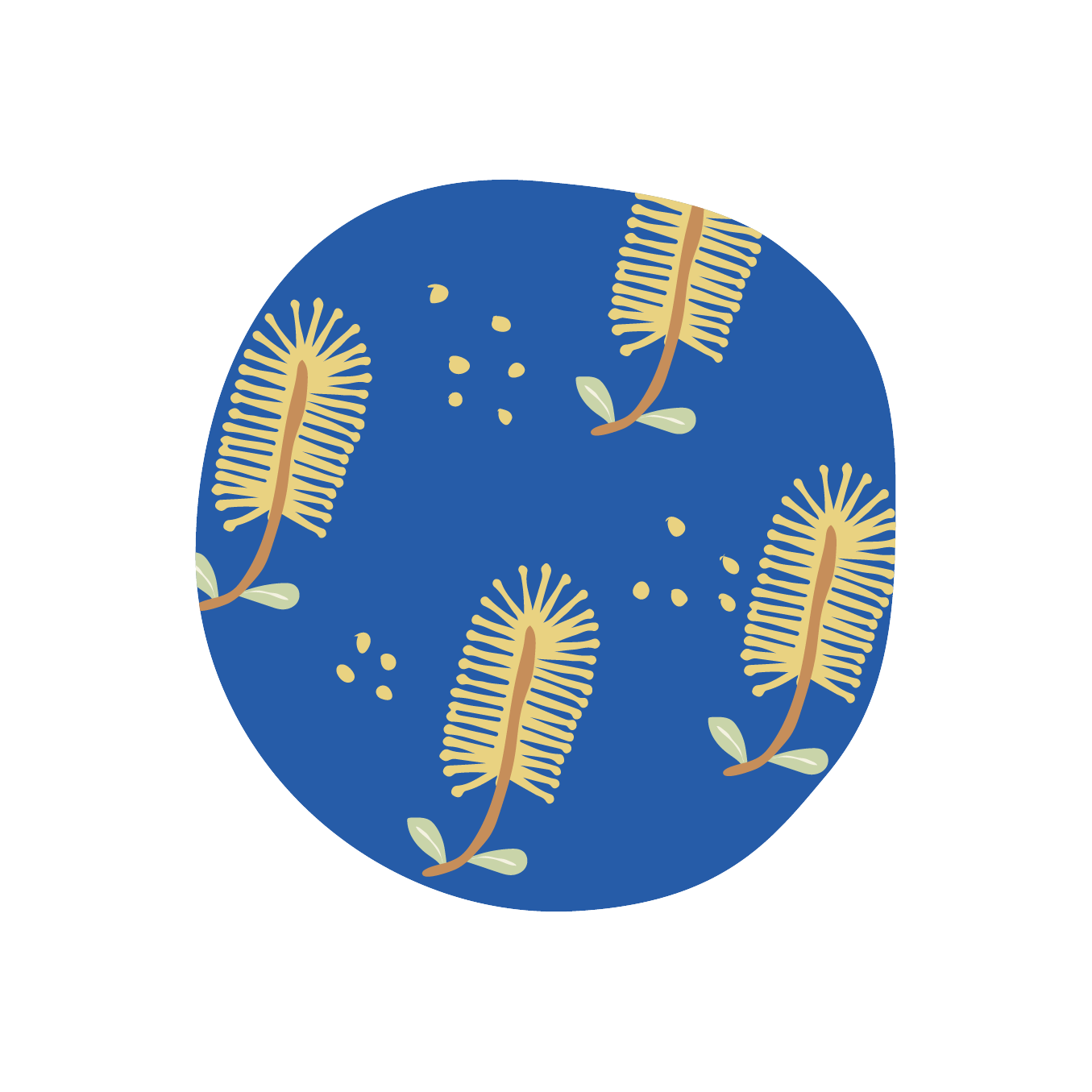 Scrub-Turkley_v2-Website_2024_Custom-Design-Process-22.png