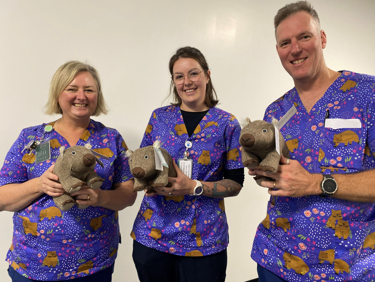 We Made Custom Wombat Print Scrubs for Tasmanian Health